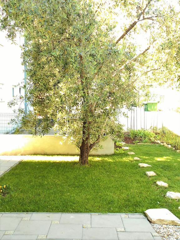 Apartma Doda