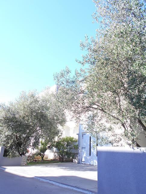 Doda Zadar